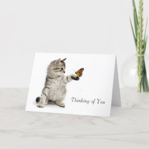 Tarjeta Imagen del gato para la conseguir-bien-tarjeta