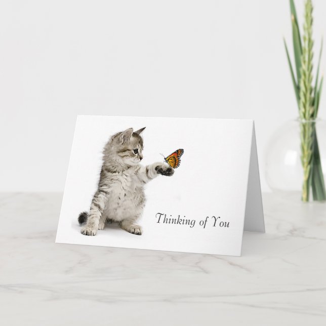 Tarjeta Imagen del gato para la conseguir-bien-tarjeta (Anverso)