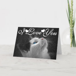 Tarjeta Imagen observada azul de la foto del gato te amo