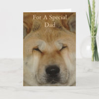 imagen original del perro sonriendo para papá