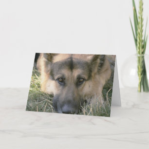 Tarjeta Imagen Perfect Cute Puppy Dog