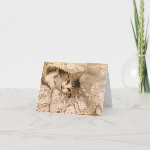 Tarjeta IMG_4121_-_Marygold_-_cropped - 5x7