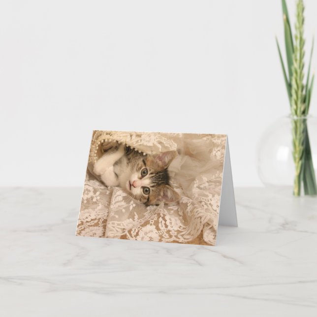 Tarjeta IMG_4121_-_Marygold_-_cropped - 5x7 (Anverso)