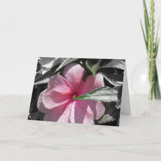 Tarjeta Impaciente rosado