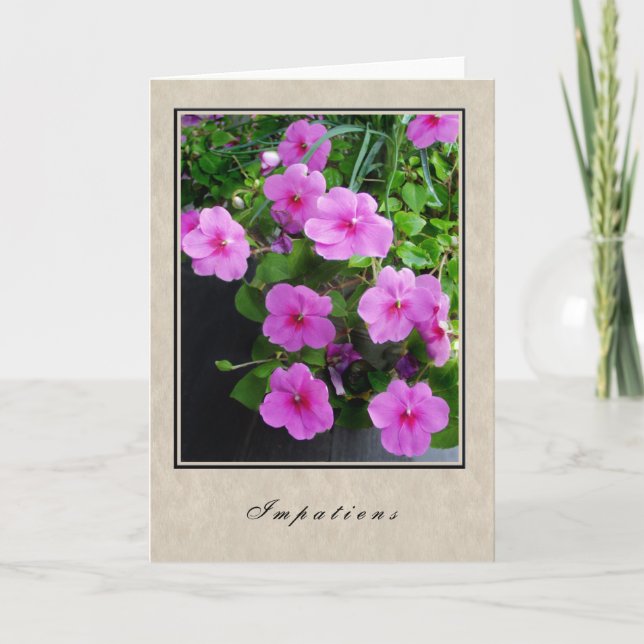 Tarjeta Impatiens - Floral Series (Anverso)