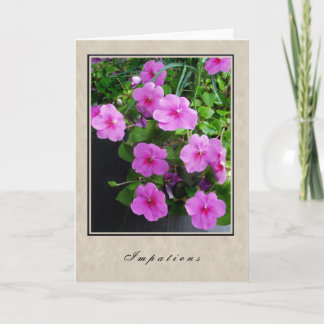 Tarjeta Impatiens - Floral Series