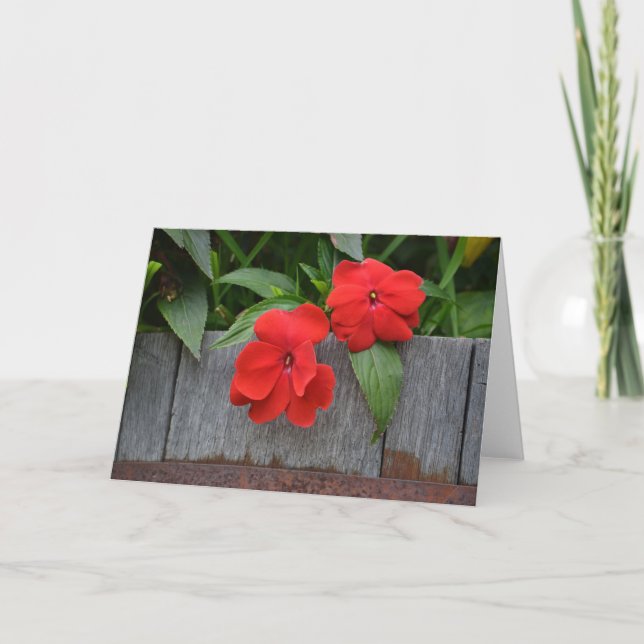 Tarjeta Impatiens Notecard (Anverso)