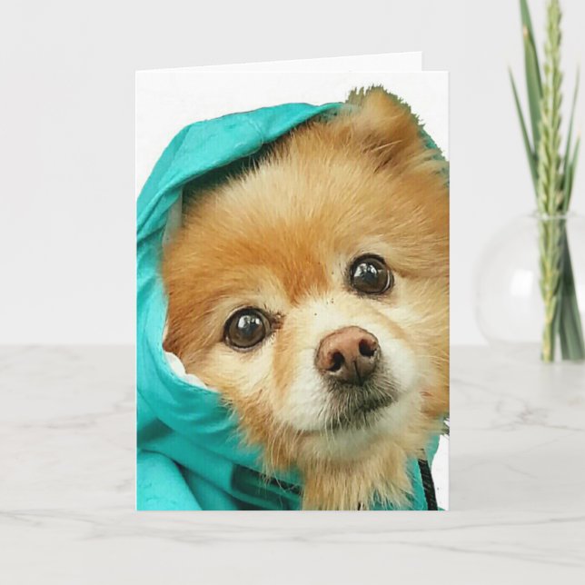 Tarjeta Impermeable de Pomeranian # (Anverso)