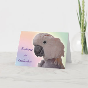 Tarjeta Implume