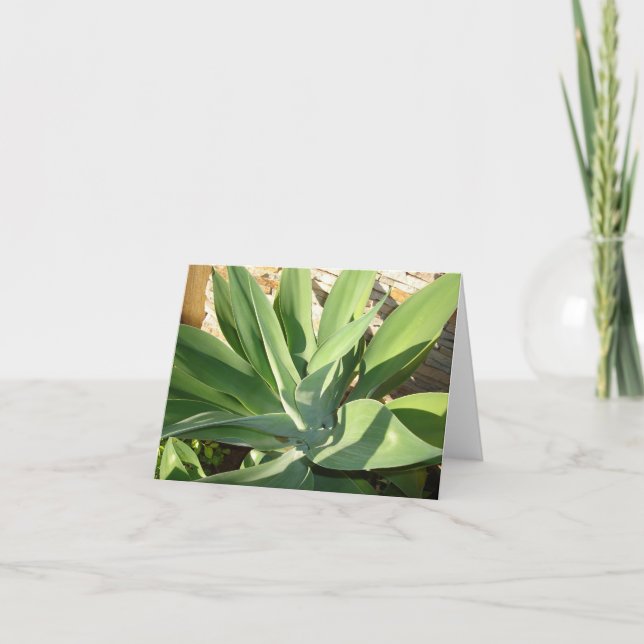 Tarjeta Impregnación para arriba del Sun (Anverso)