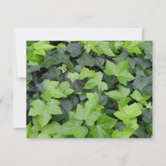 Tarjeta Impresión botánica de marfil verde