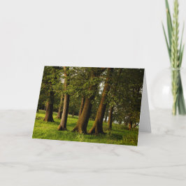 Tarjeta Impresión de bosque de roble antiguo