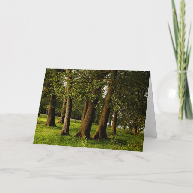 Tarjeta Impresión de bosque de roble antiguo (Anverso)