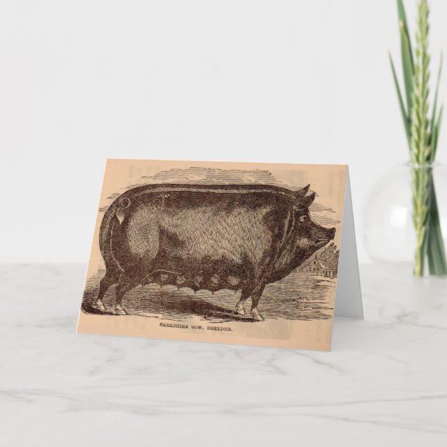 Tarjeta Impresión de cerdos del siglo XIX Berkshire sow no (Anverso)