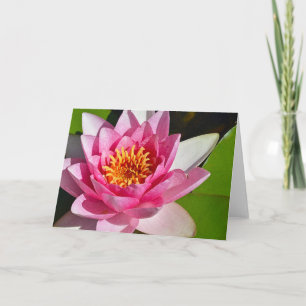 Tarjeta Impresión floral de lirio de agua rosa
