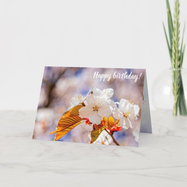 Tarjeta Impresionantes Flores De Sakura En Un Soleado Día  (Anverso)