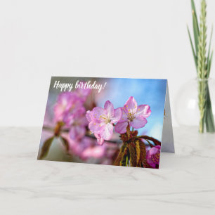 Tarjeta Impresionantes Y Sorprendentes Flores De Sakura En