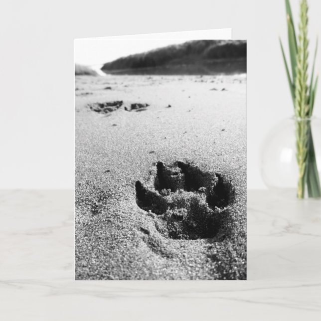 Tarjeta Impresiones (Anverso)