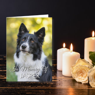 Tarjeta In Memory Of Pet Memorial Sympathy Custom Photo