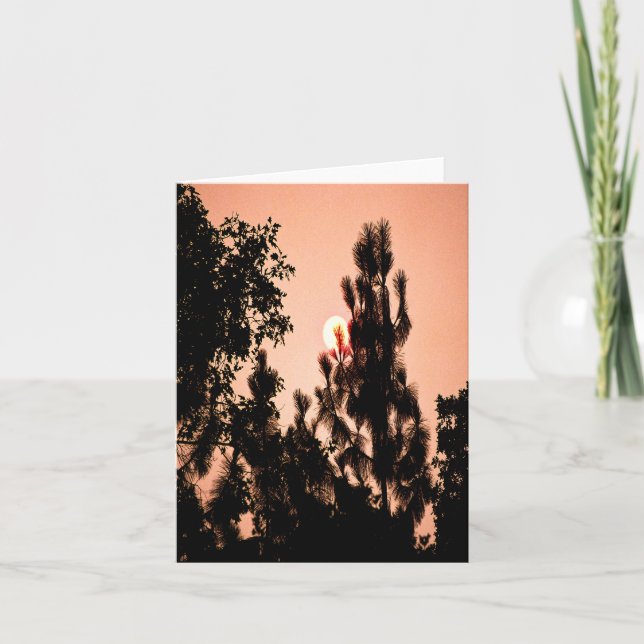 Tarjeta Incendio en el Valle de la India..... (Anverso)