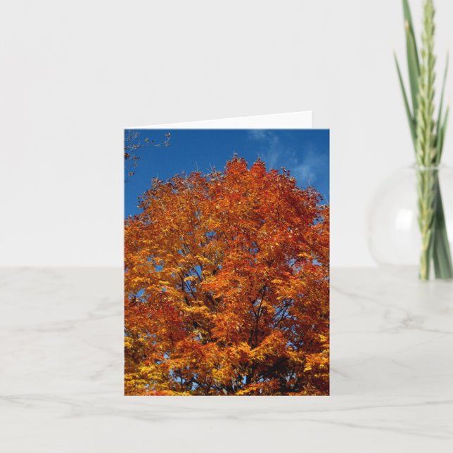 Tarjeta Incendio superior en árbol de Naranjas en blanco (Anverso)