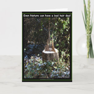 Tarjeta ¡Incluso La Naturaleza Puede Tener Un Día De Pelo 