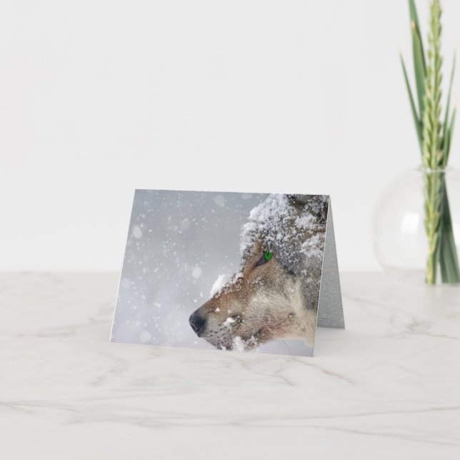 Tarjeta Incursión de lobo cubierto de nieve en caída de ni (Anverso)