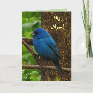 Tarjeta Indigo Bunting Mother's Day