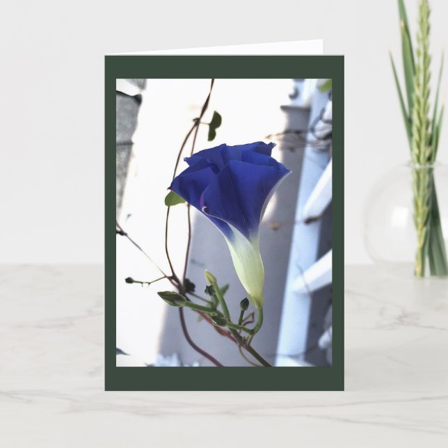 Tarjeta Indigo Swirl Morning Glory Blank (Anverso)