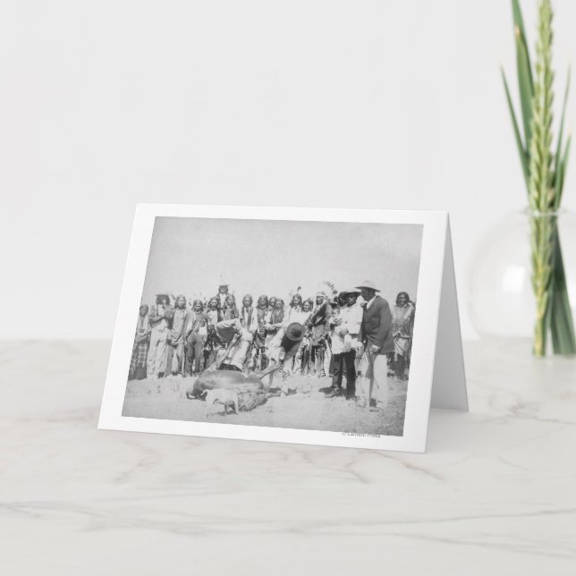 Tarjeta Indios de Lakota que pelan la fotografía del (Anverso)