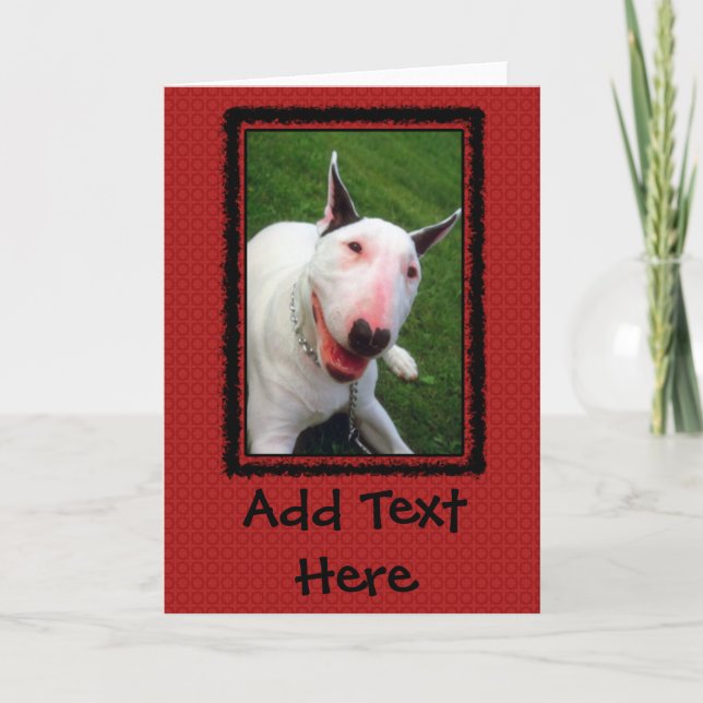 Tarjeta Inglés bull terrier (Anverso)