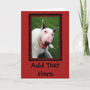 Tarjeta Inglés bull terrier