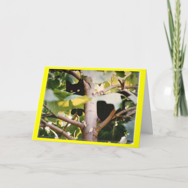TARJETA INKY2 (Anverso)