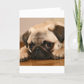 Tarjeta " Innocent " Pug