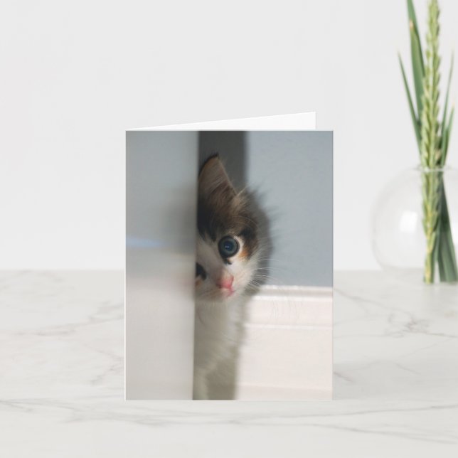 Tarjeta Inocencia Notecard (Anverso)