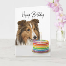 Inspector de Pastel de Cumpleaños Sheltie