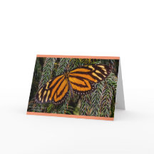 Inspiración de la mariposa