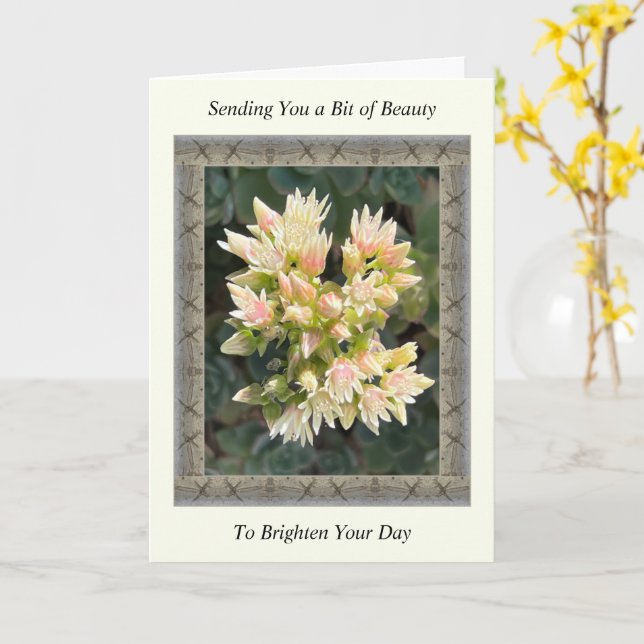 Tarjeta Inspiradora, mejor carta con flores suculentas (flor amarilla)