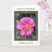 Tarjeta inspiradora para el bienestar con camellia