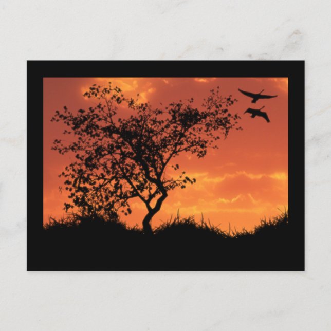 Tarjeta inspiradora uno (Anverso)