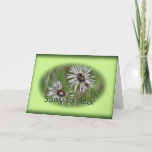 Tarjeta Inspiradora Wet Dandelion - o cualquier oc