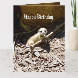 Tarjeta Insy Winsy Baby Meerkat, cumpleaños grande