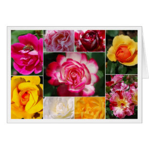 Tarjeta interior amarillo Rosa