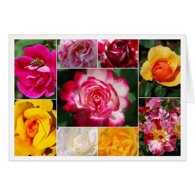 Tarjeta interior amarillo Rosa (Anverso (Horizontal))
