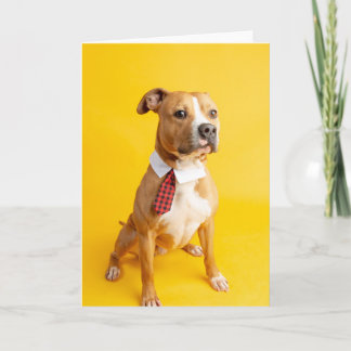 Tarjeta interior en blanco