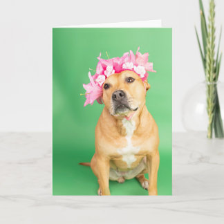 Tarjeta interior en blanco