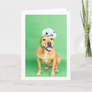 Tarjeta interior en blanco