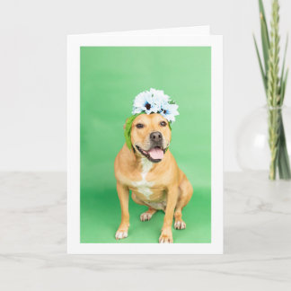 Tarjeta interior en blanco