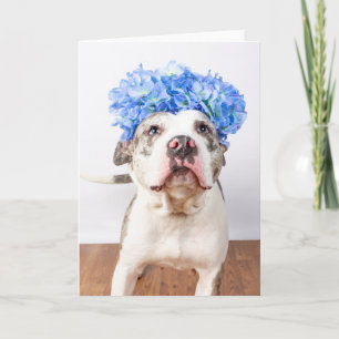 Tarjeta interior en blanco