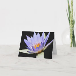 Tarjeta interior en blanco #7 00700